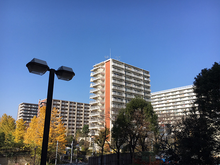 大きな公園と団地群 光が丘パークタウン 散策 東京 神戸 団地暮らし 光が丘と落合 2つの団地の住まいレポート