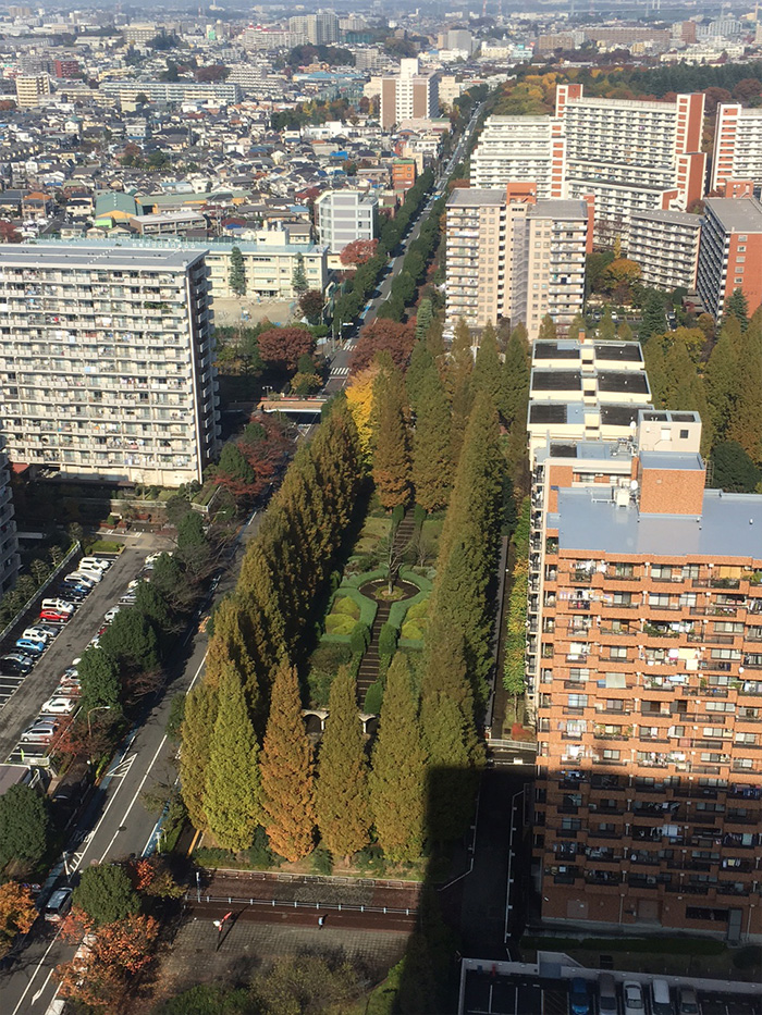 大きな公園と団地群 光が丘パークタウン 散策 東京 神戸 団地暮らし 光が丘と落合 2つの団地の住まいレポート