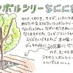 三鷹の家のシンボルツリー