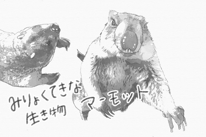 夏休みが始まったー！
