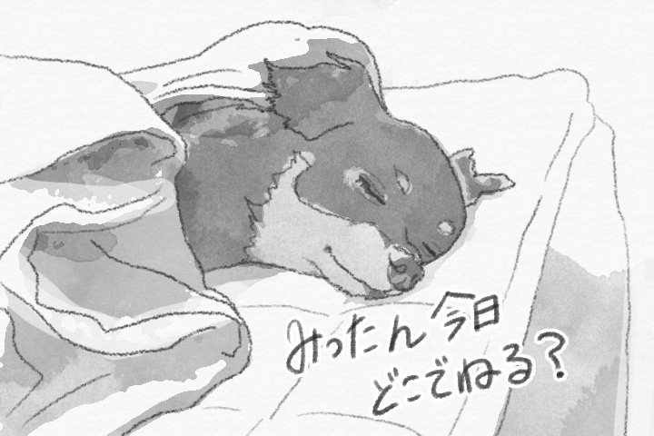 無印良品の家のデメリット