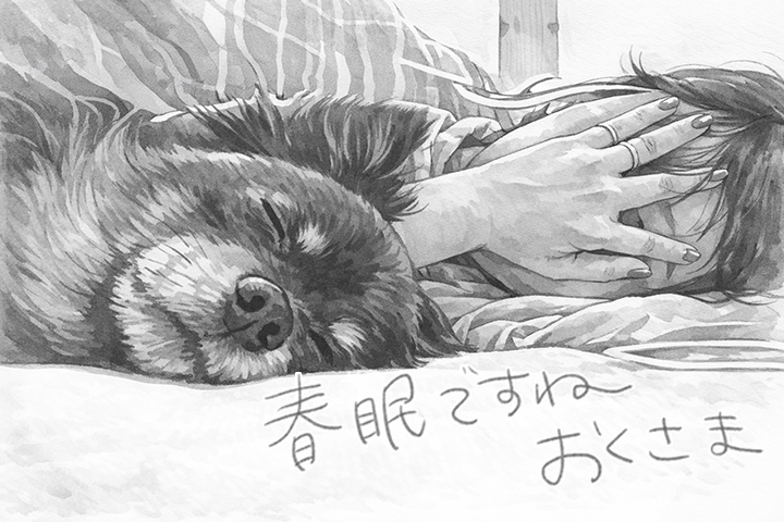 ぬいぐるみ天国を解消する方法