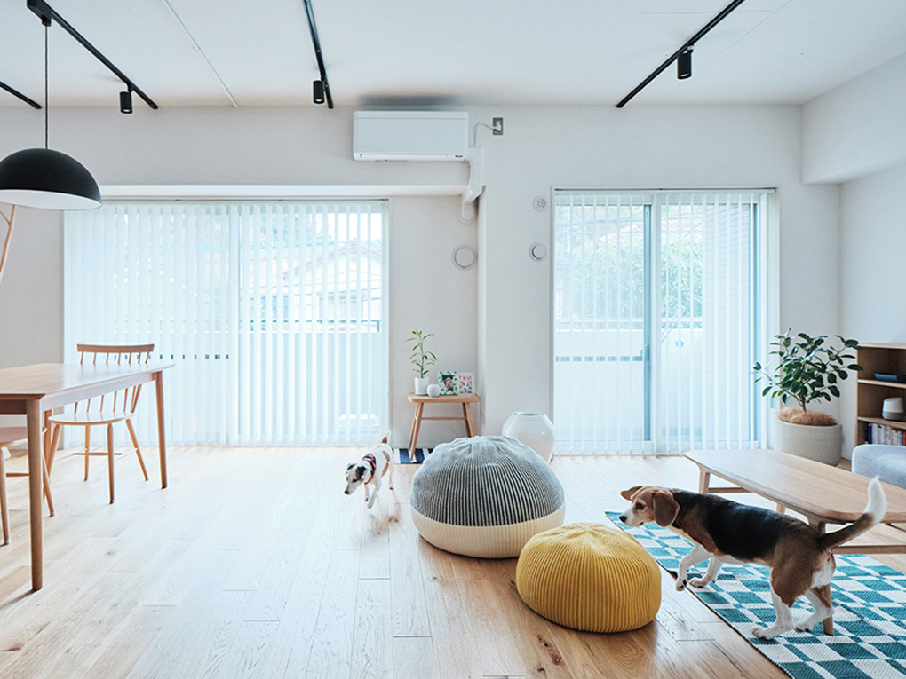 住まいの実例まとめ】ペットと暮らす家 | 住まいのかたち | 住まいの